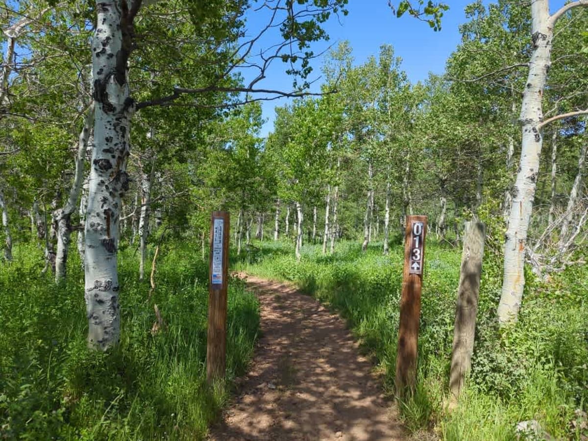 Mitchell Hollow ATV trail photo