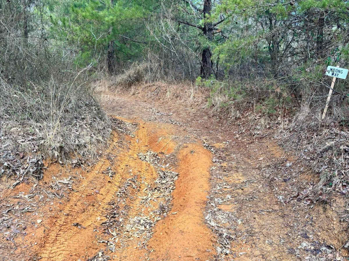 Snake Road photo 5
