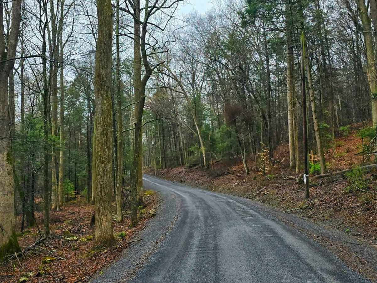 Laurel Run Road photo 5