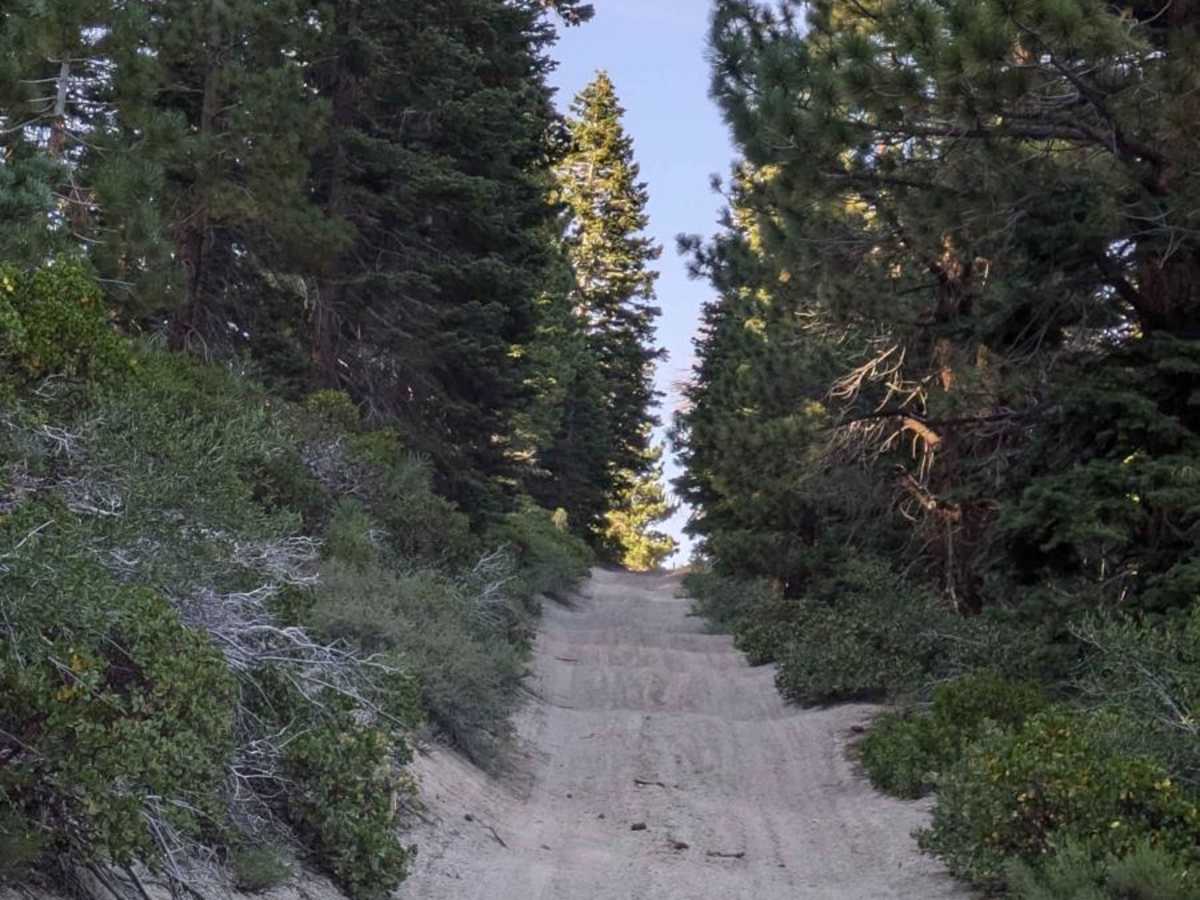 3S121 - Whoopsie Test Ride photo 2