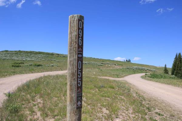 Heber Mountain Spur 1 - FS 70055