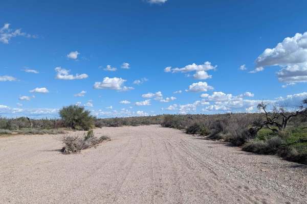 Jackrabbit Wash