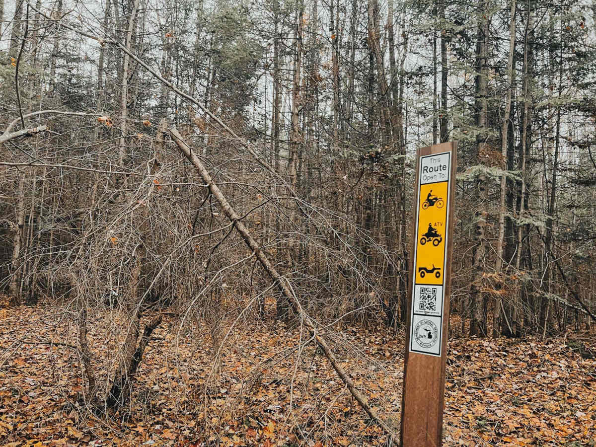 Cedar River Side Spur photo 4