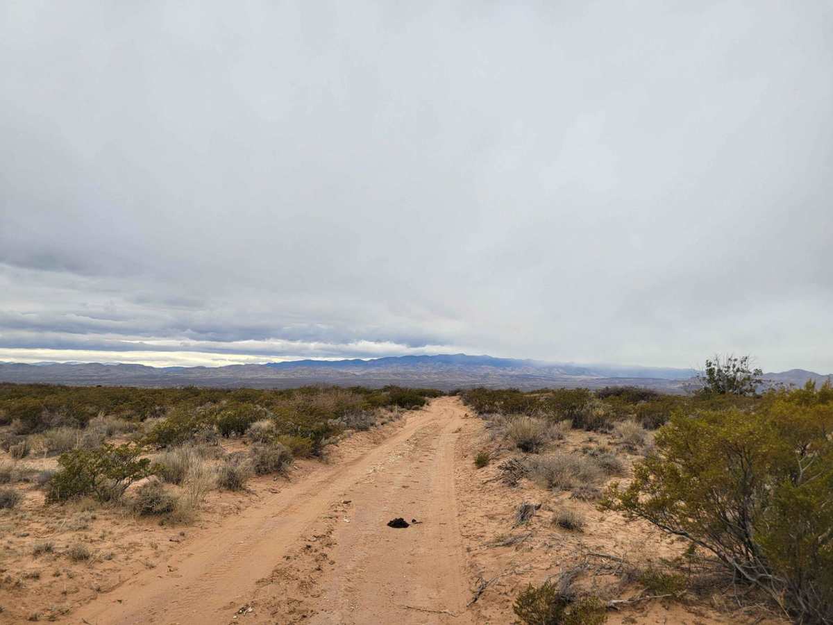 Bosequecito Desert Crossing trail photo