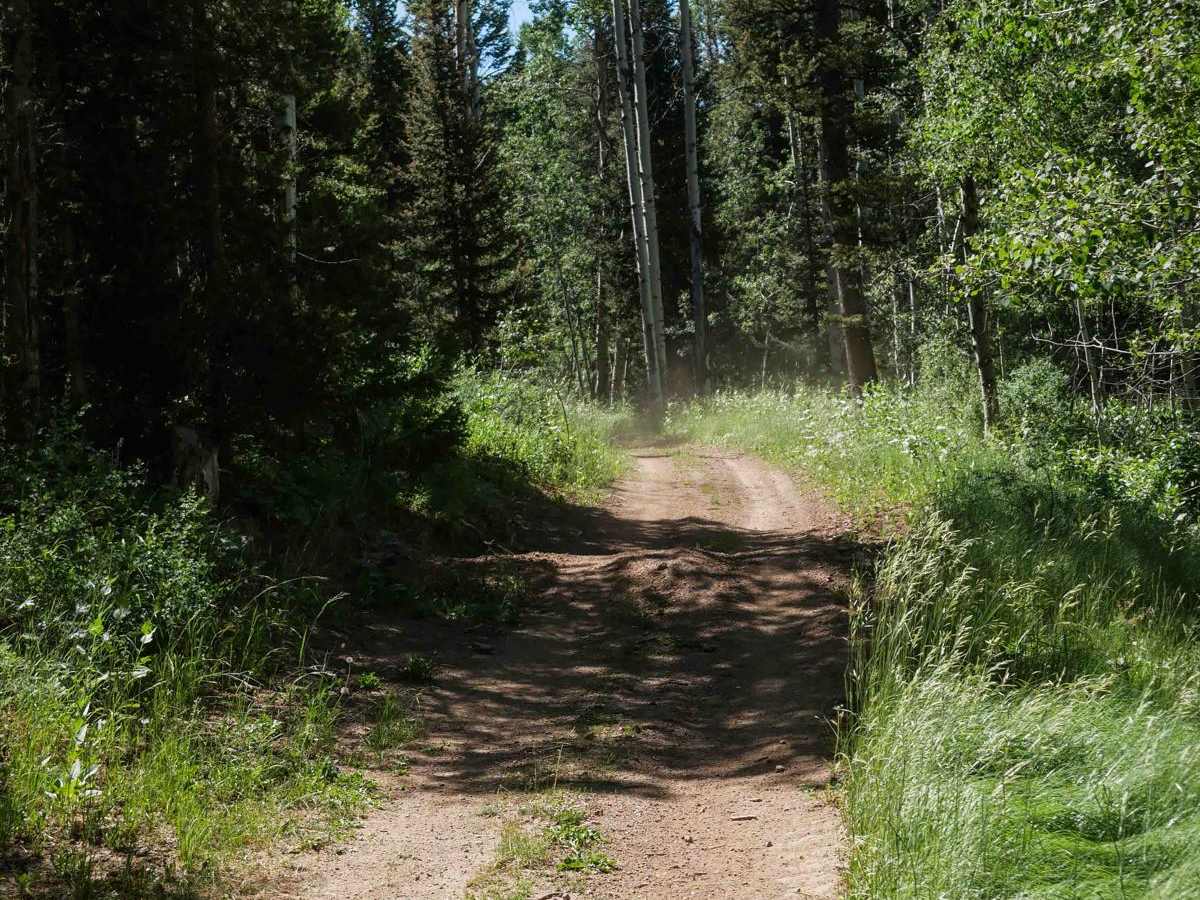  Aspen Range - Middle Sulphur #5248  trail photo