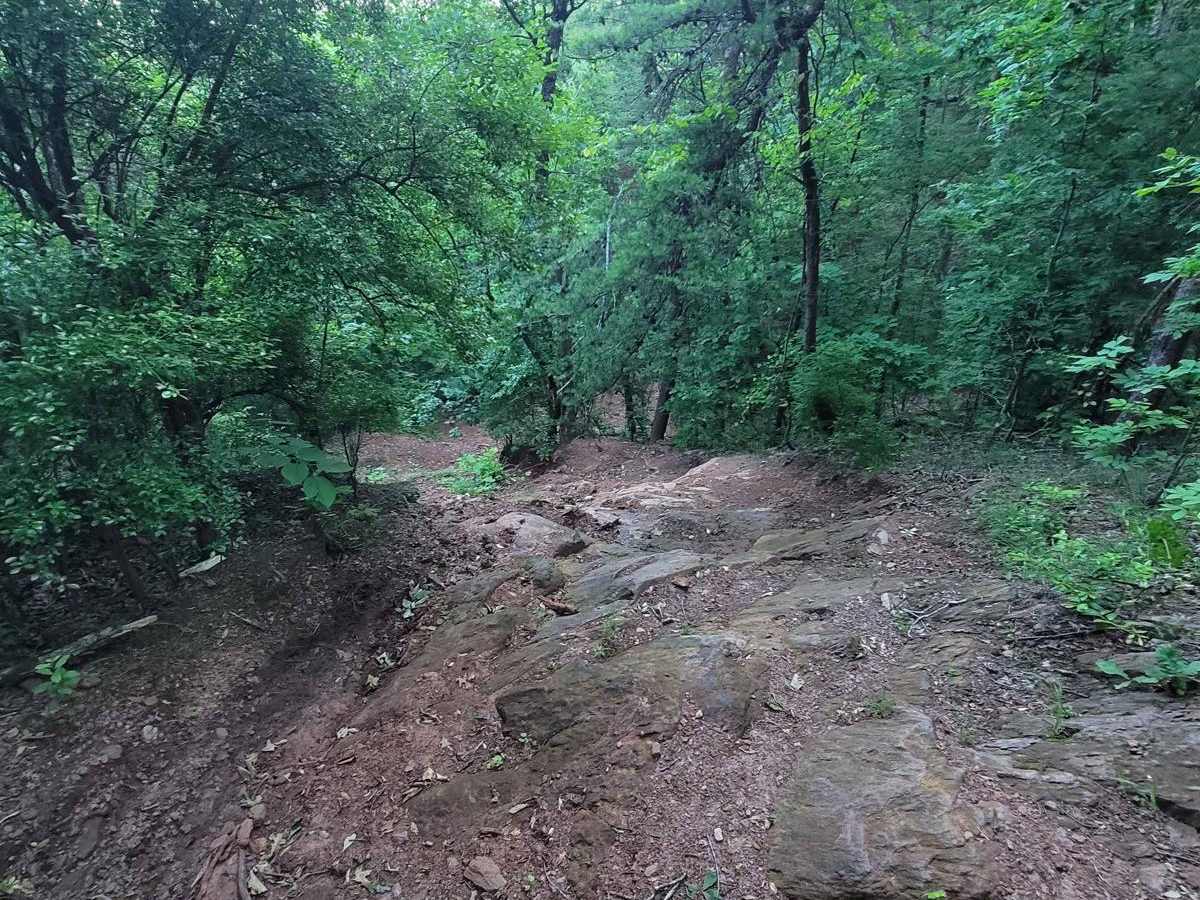 Mountain Dew trail photo