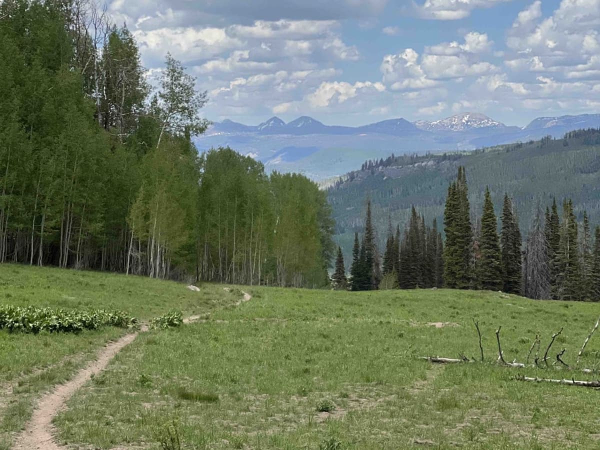 Little South Fork Trail trail photo