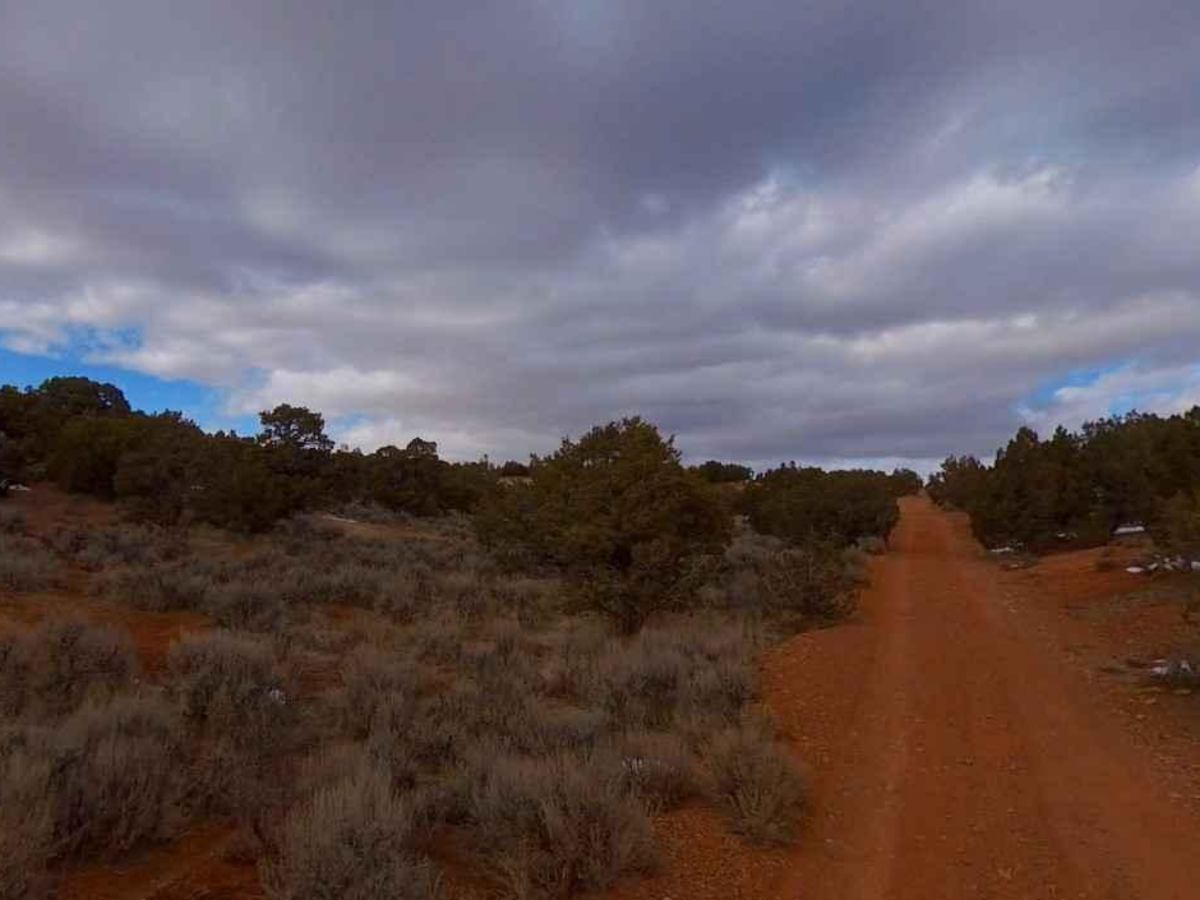 Cricket Mountain OHV Route 5 photo 6
