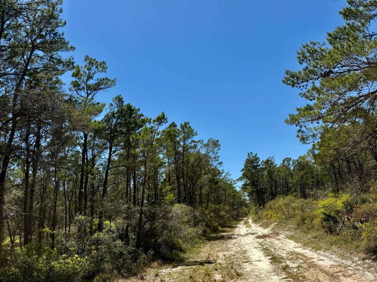 SFR 32 trail photo