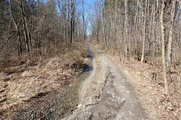West Hill Trail