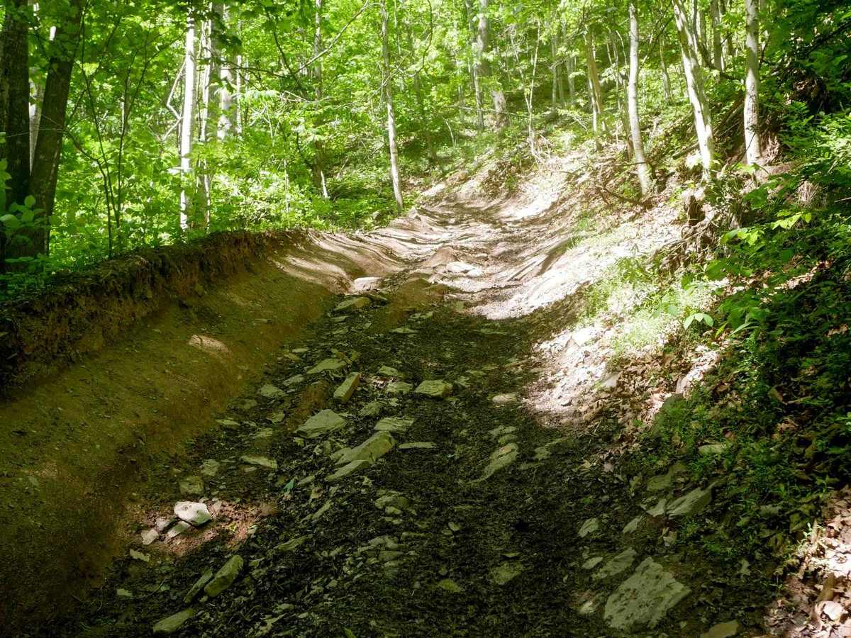 Trail 26 Razor Bypass trail photo