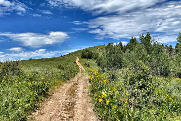 Old Man Ridge