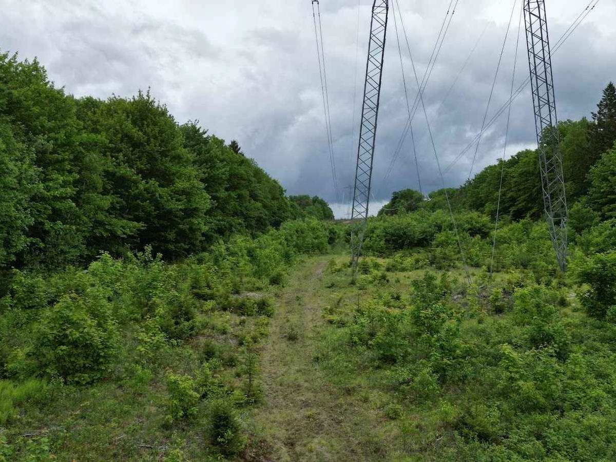 Crow Hill Climb trail photo