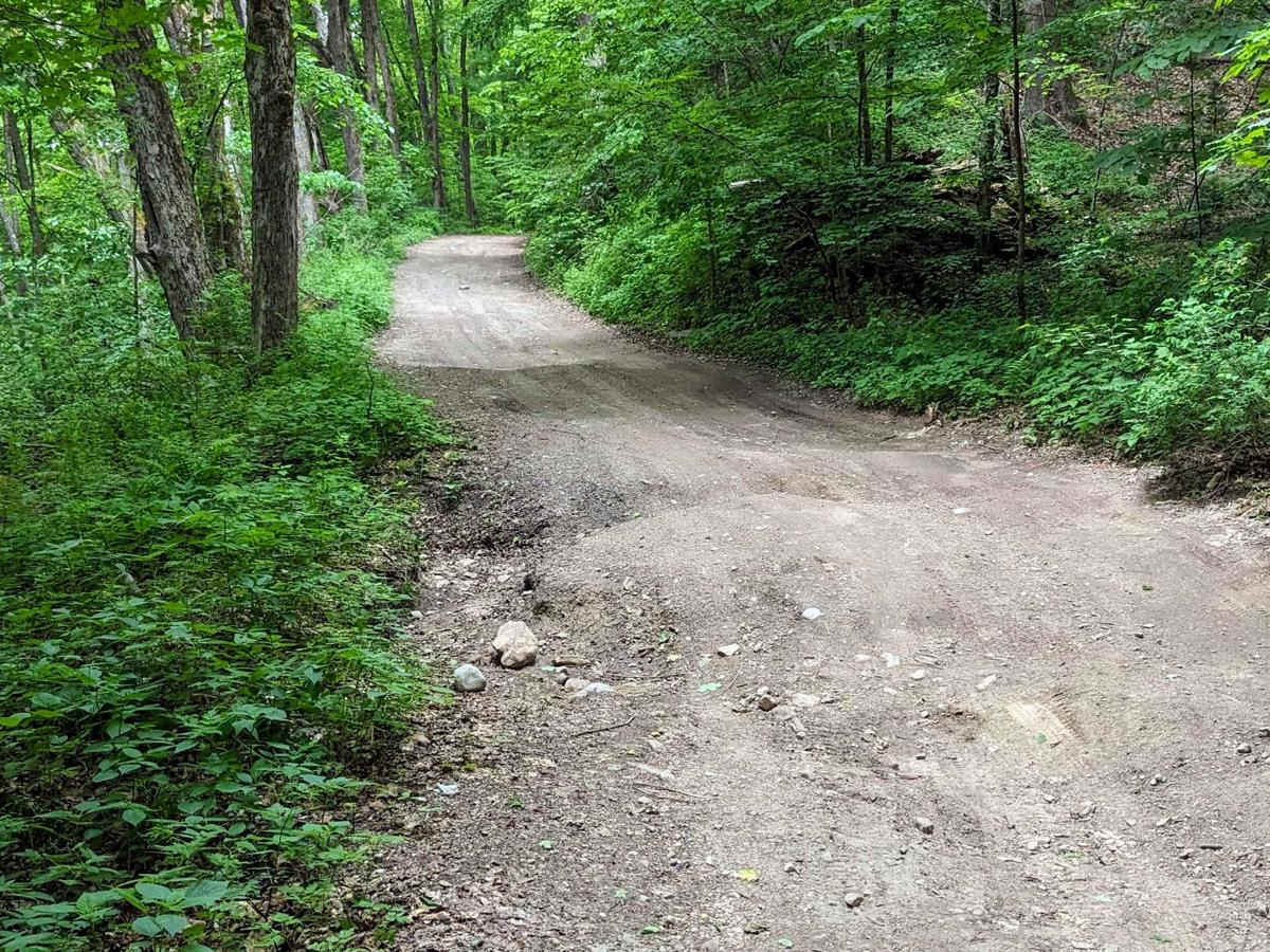 Roaring Brook Road photo 6