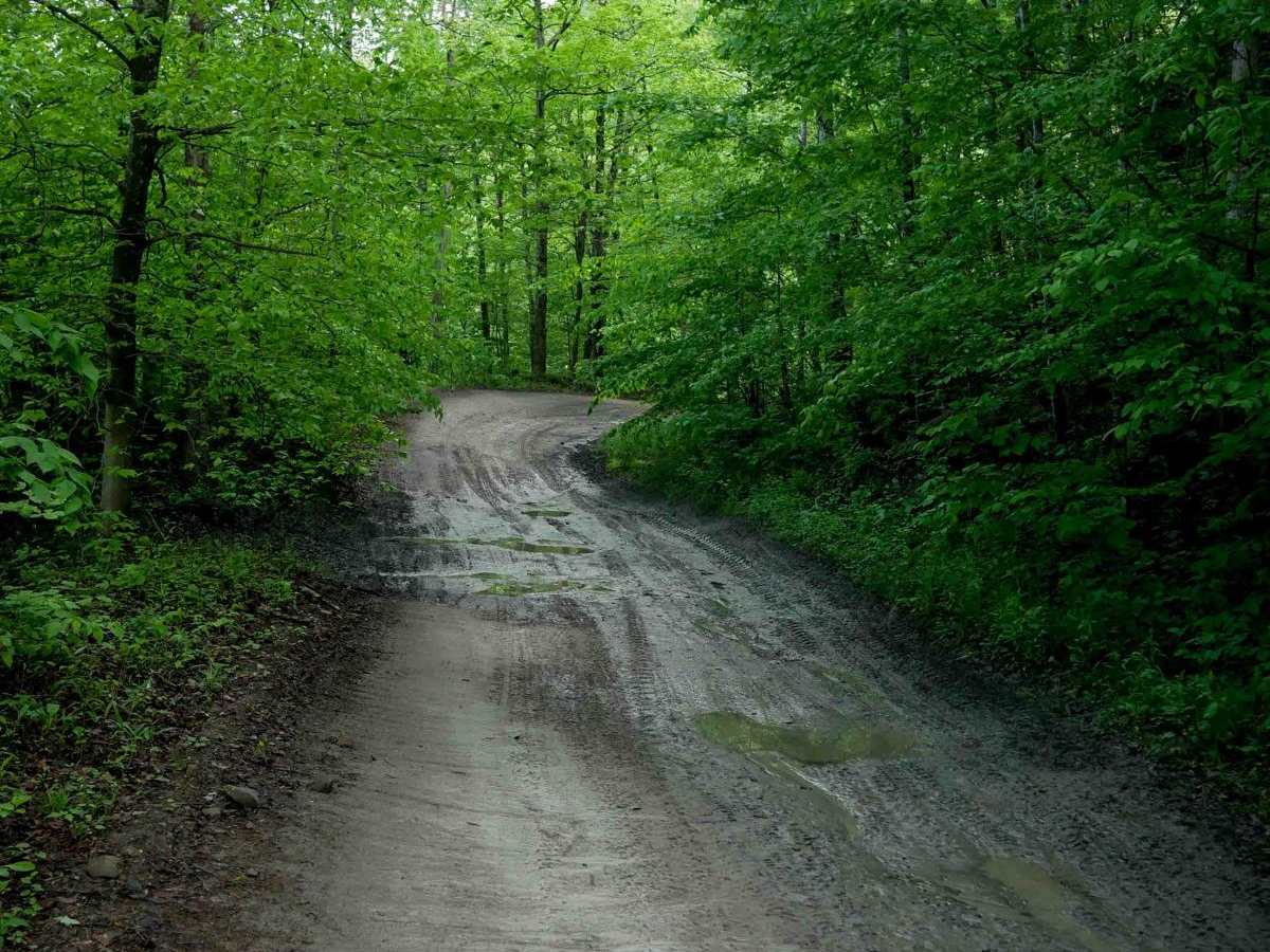 DA 62 trail photo