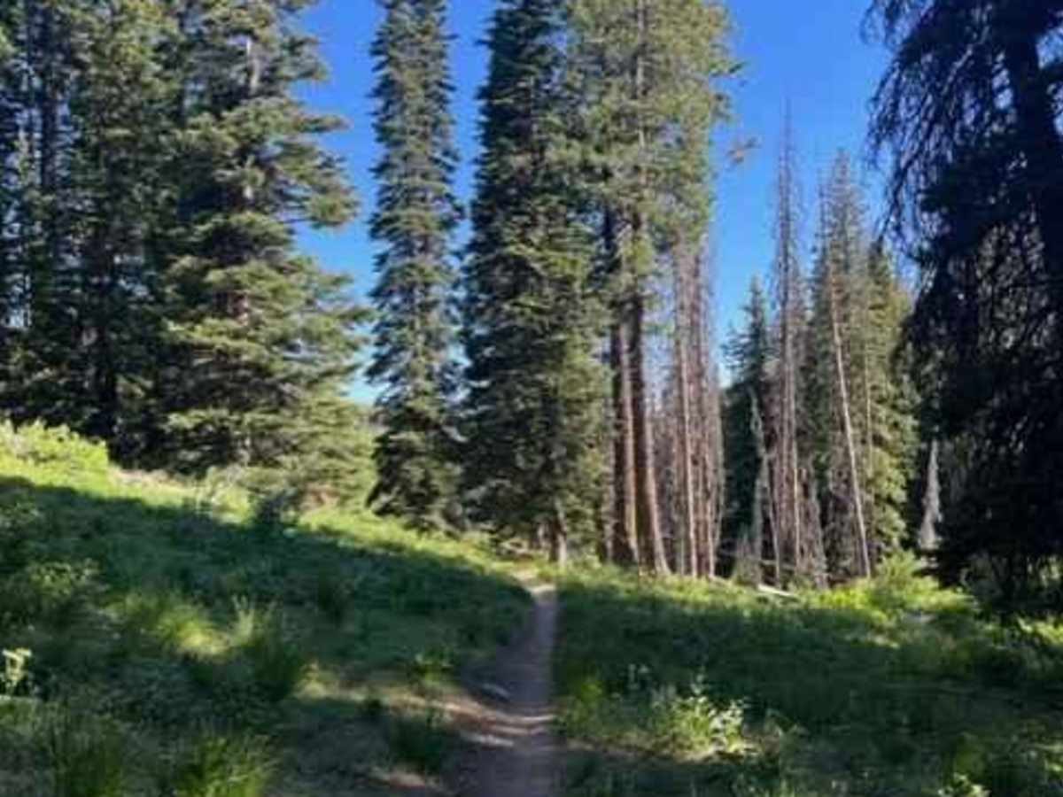 Bremner Trail photo 4