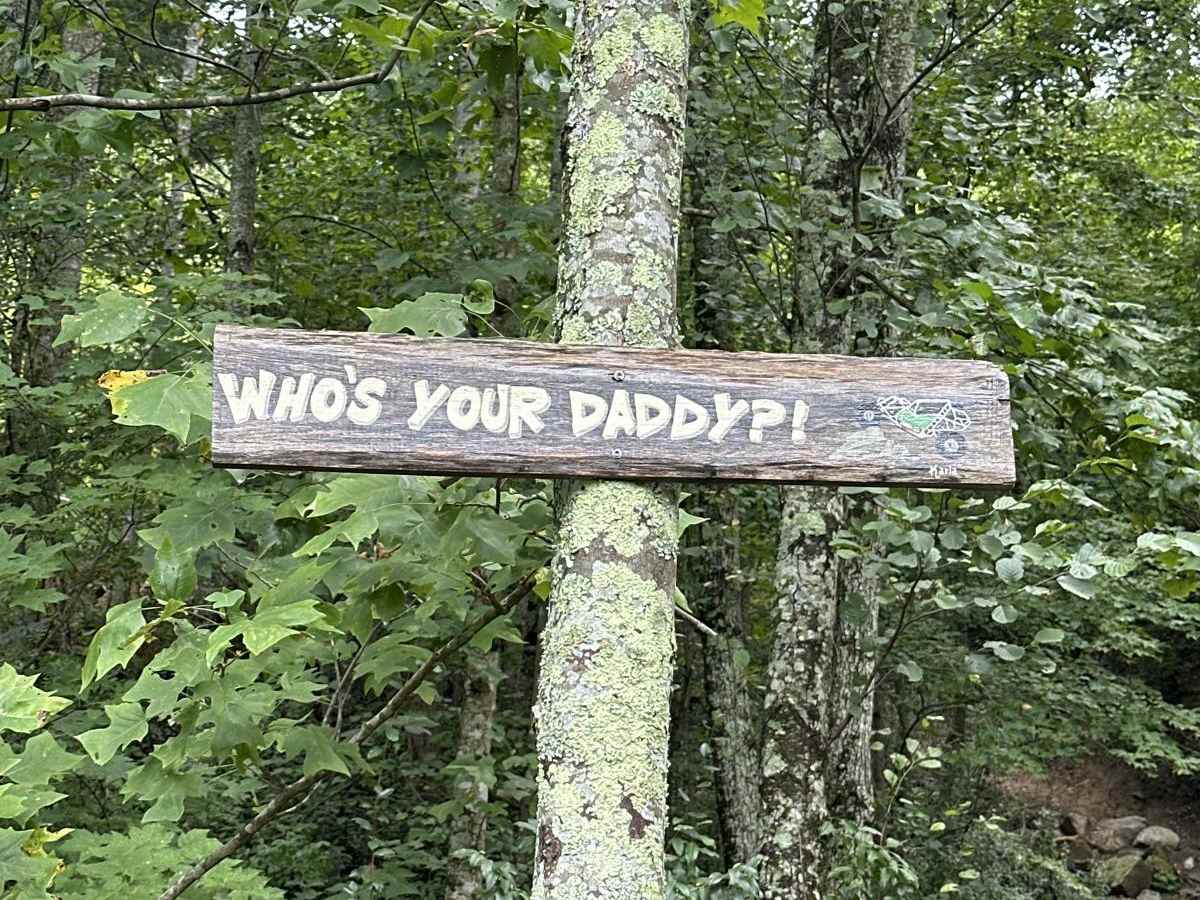 Who's your daddy?- Leatherwood Off Road Park trail photo
