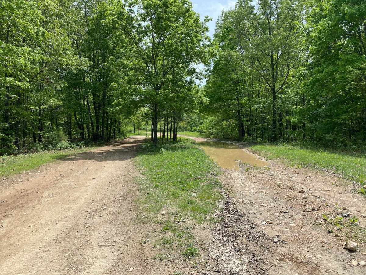 Ridgeline Road trail photo