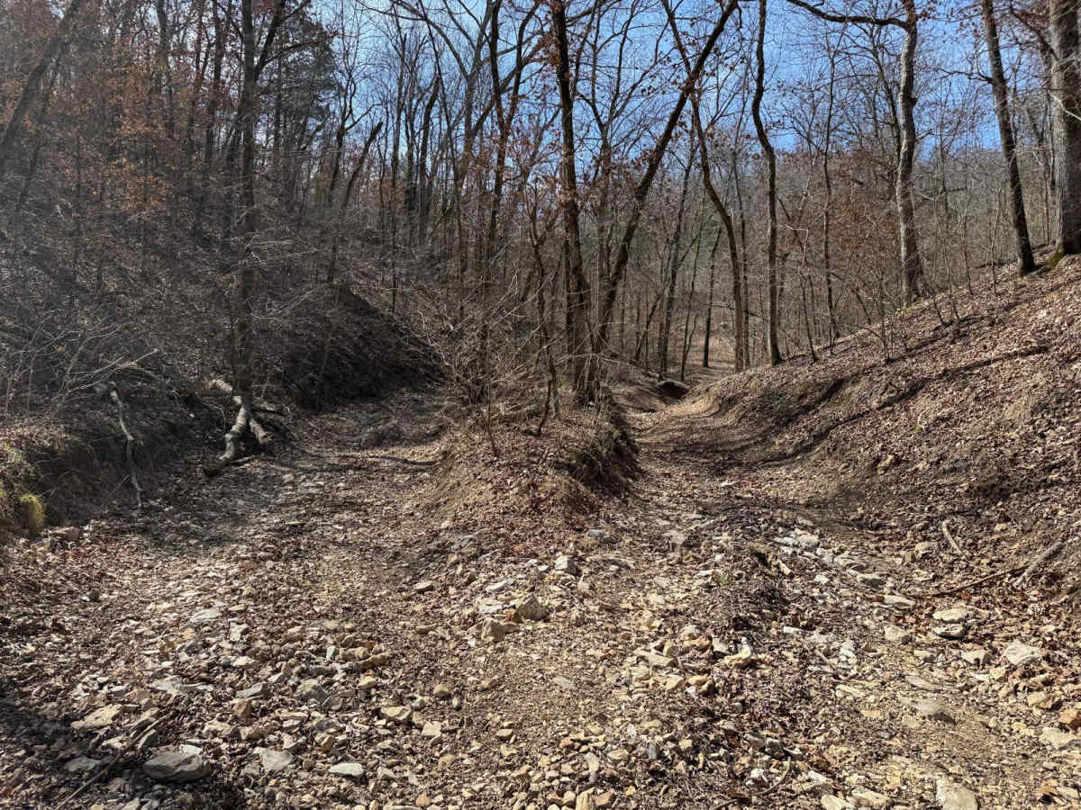 Morgans Creek 377 photo 5