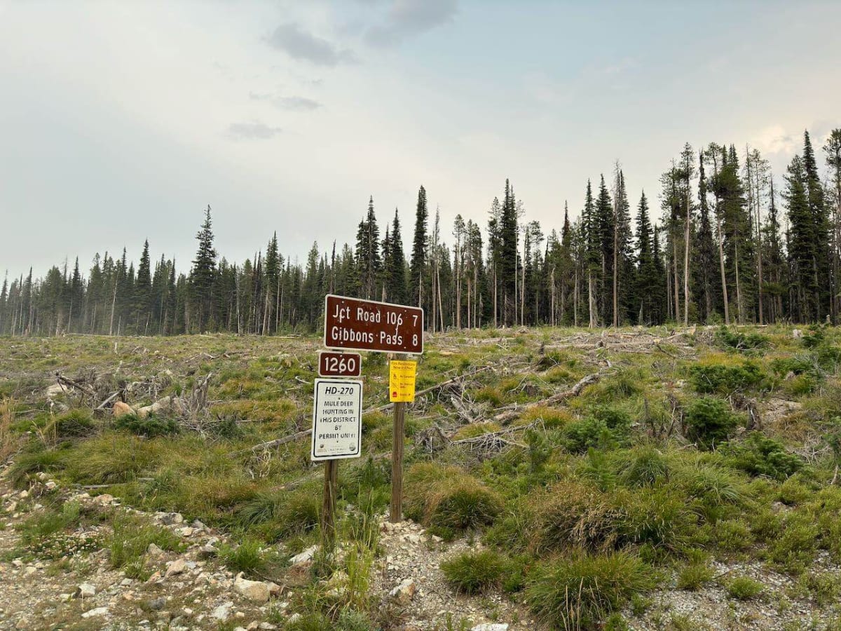 Gibbons Pass photo 6