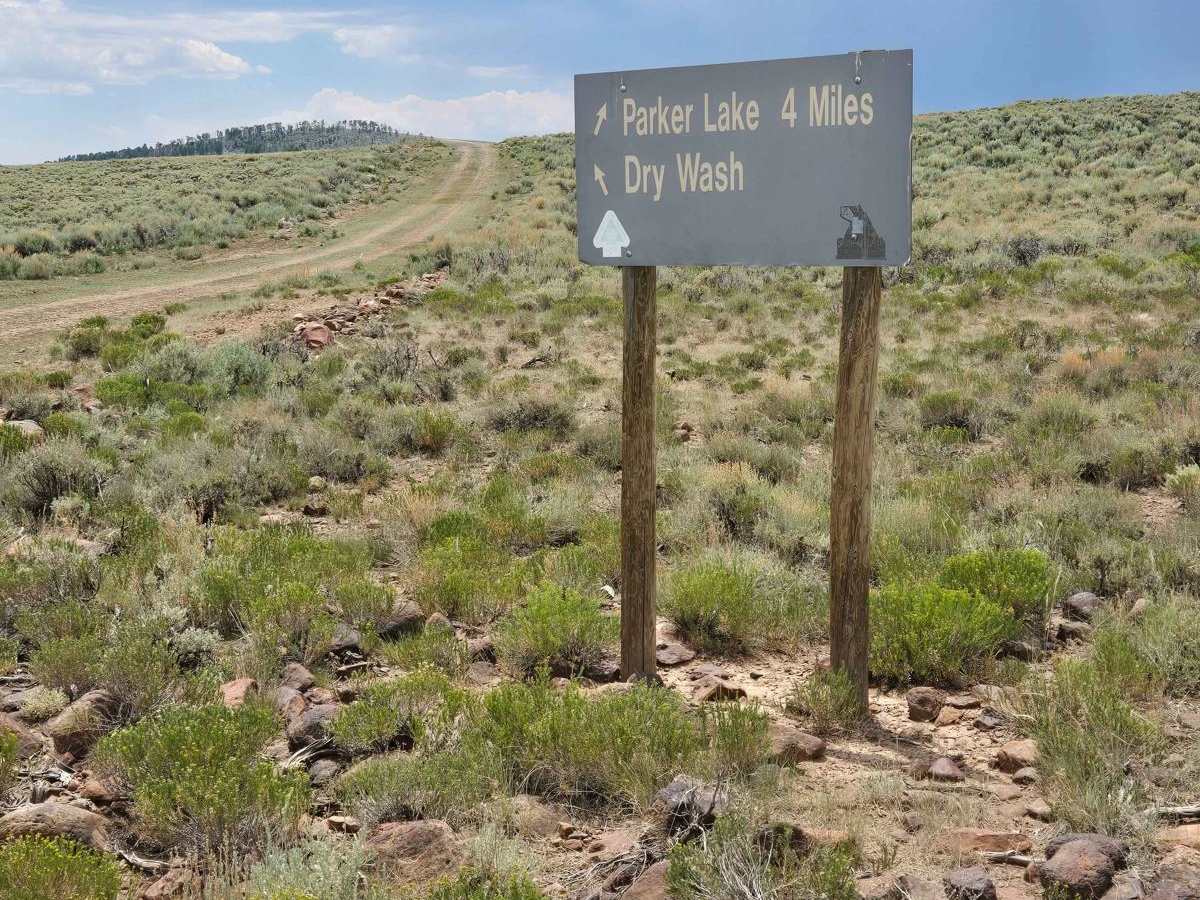 Flossie Road trail photo