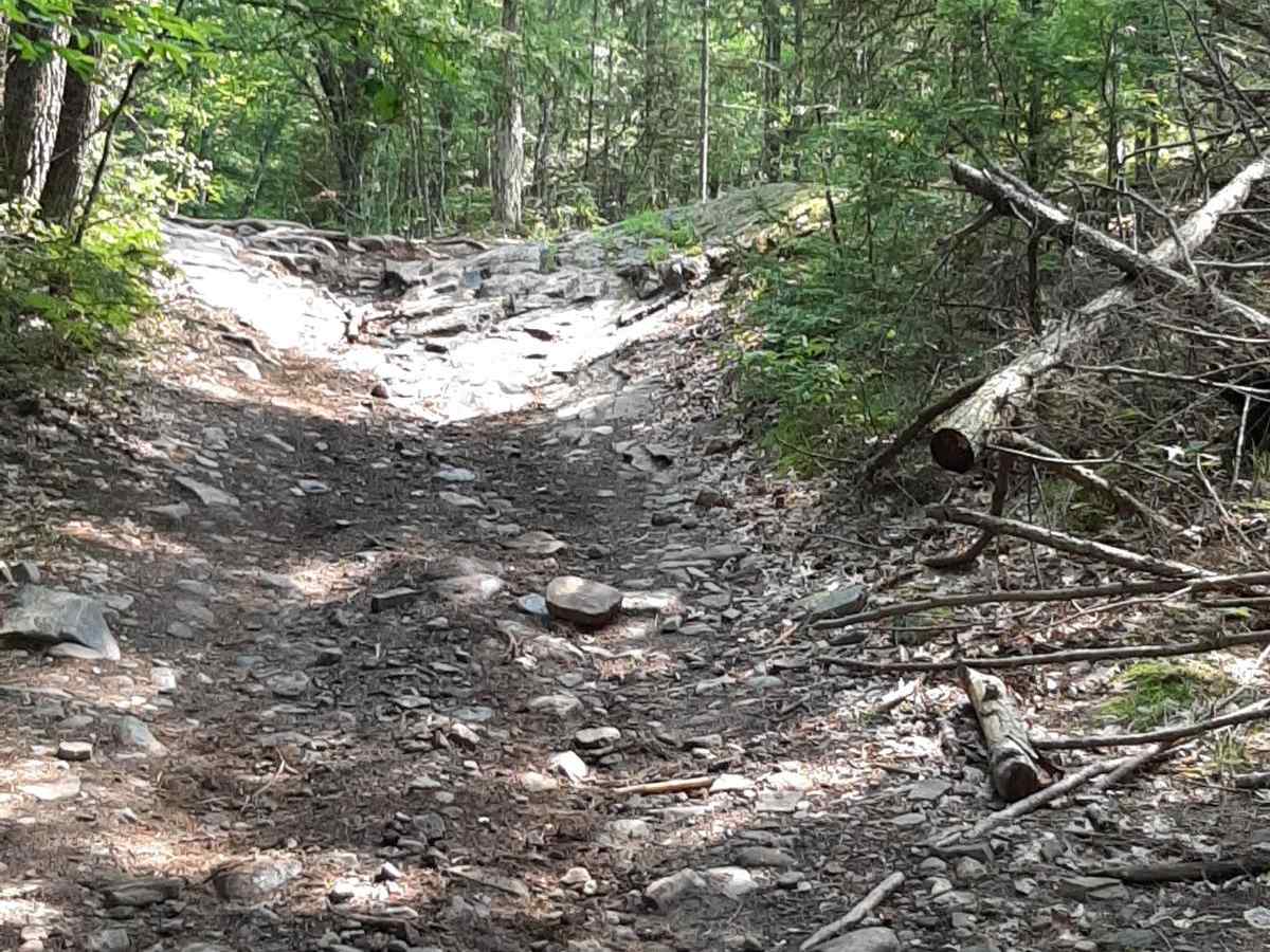 Concession Lake photo 3