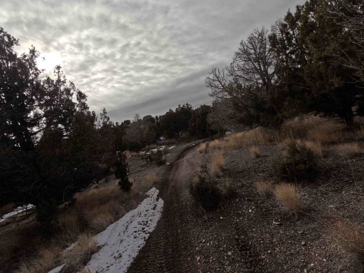 515 trail photo