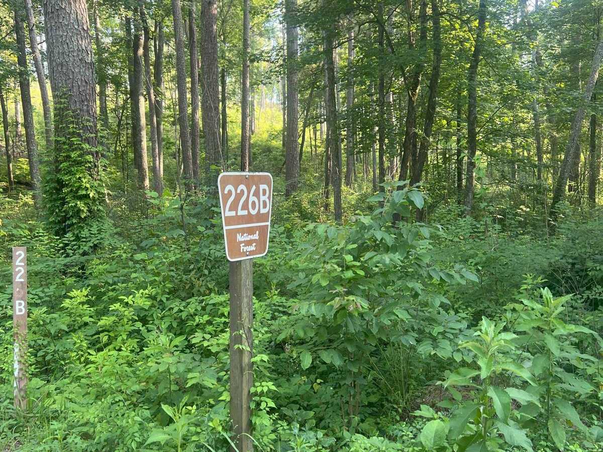 Dry Cr Branch B - Forest Road 226B trail photo