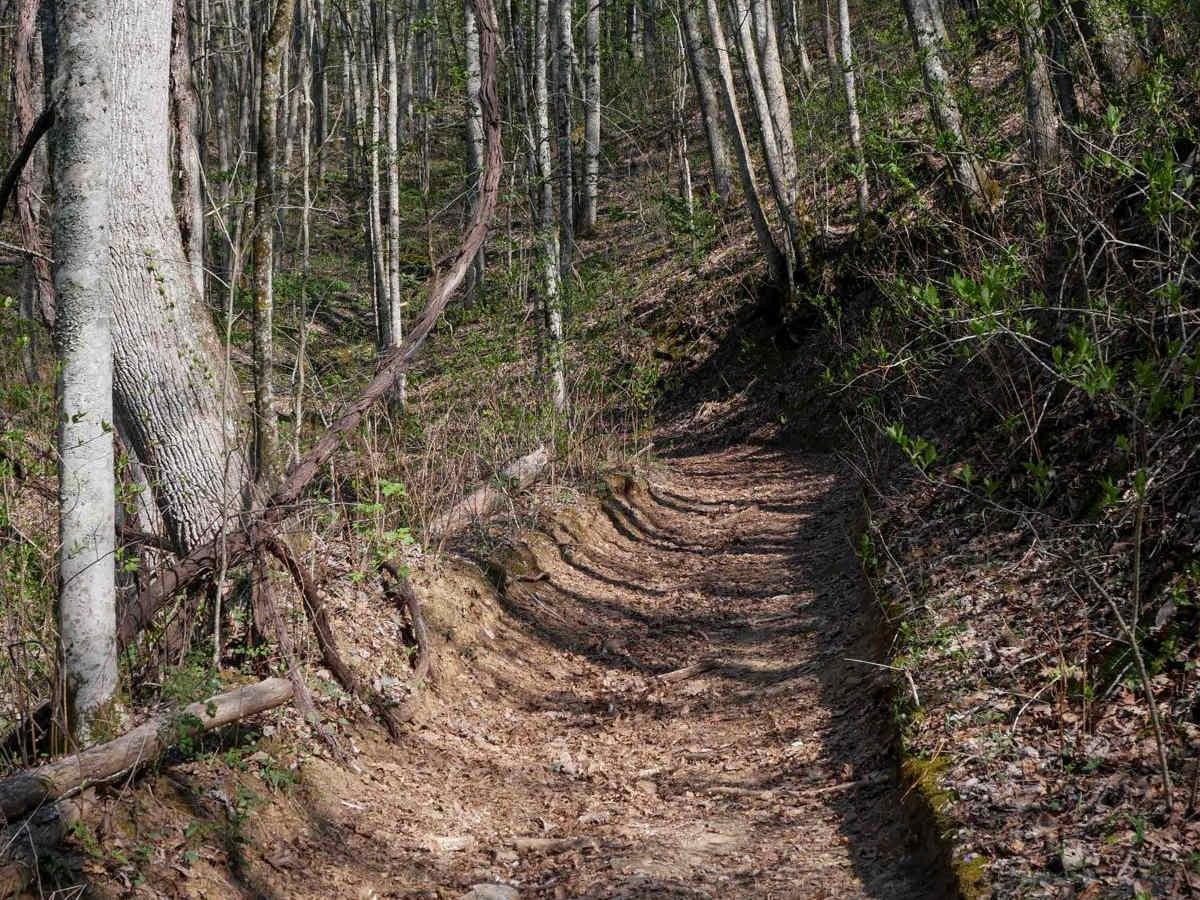 Sawmill Bottoms Trail 8 photo 4