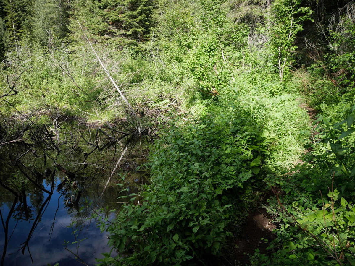 Ames Ridge NRT photo 6