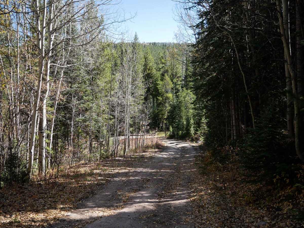 D2 trail photo