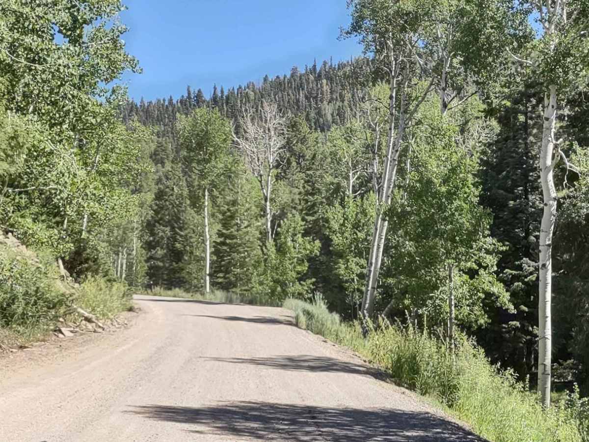 Kent's Lakes to LeBaron Lake (FS 40137) photo 4