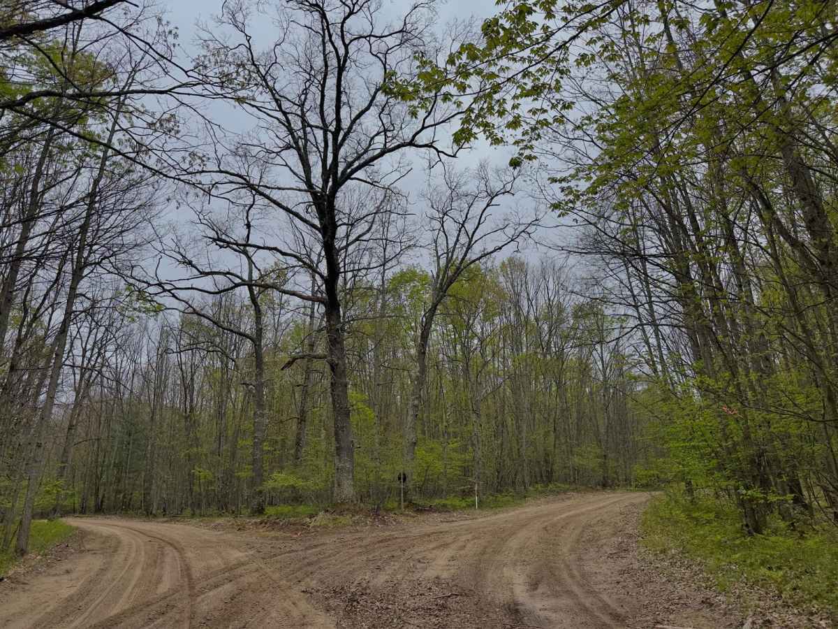 Wellston Newaygo SMT 3 trail photo