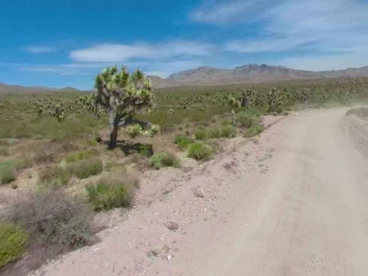 BLM30091 photo 4
