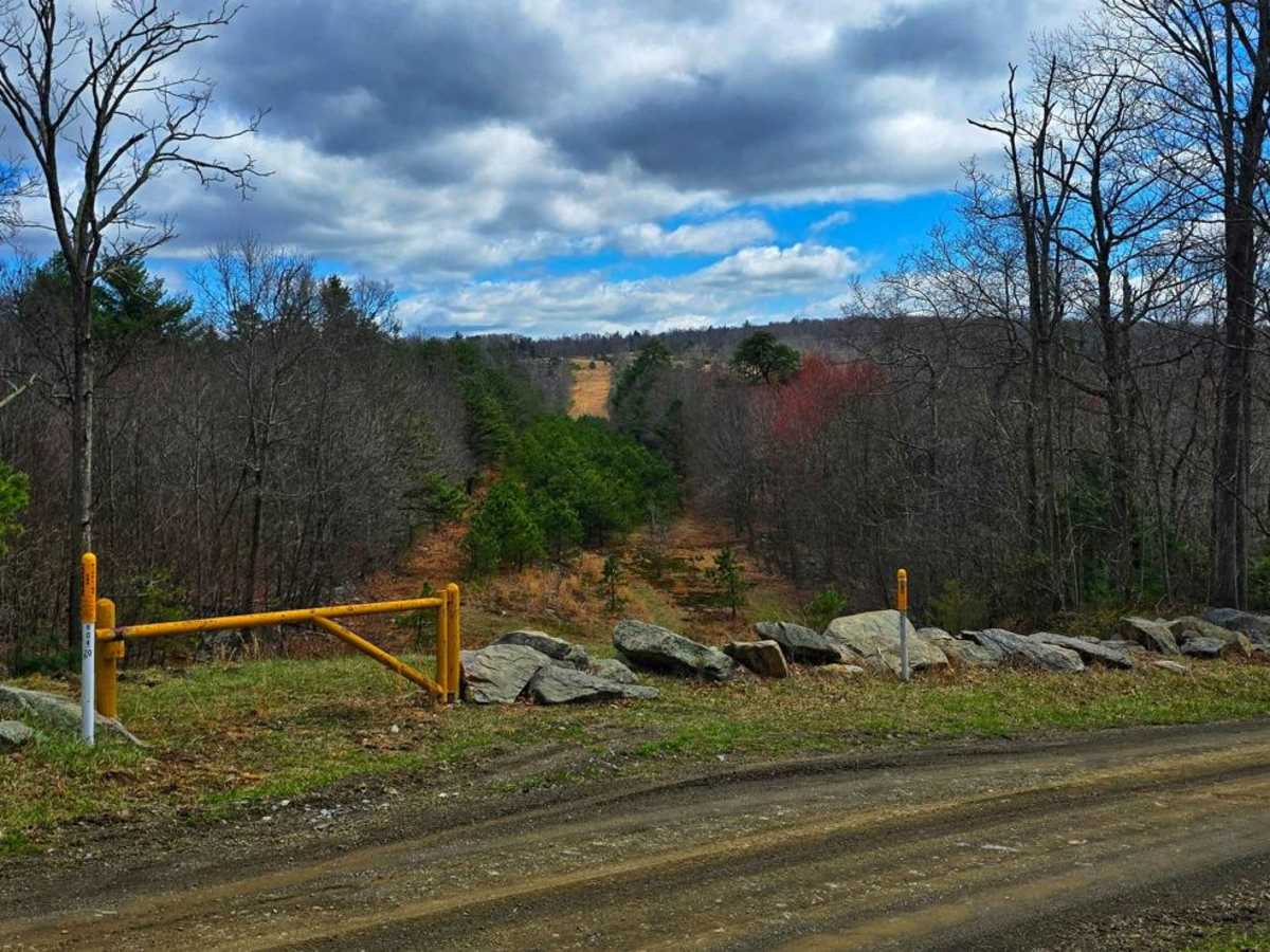 Swift Run Road photo 2