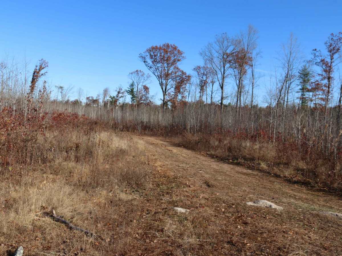 FR 3009 trail photo