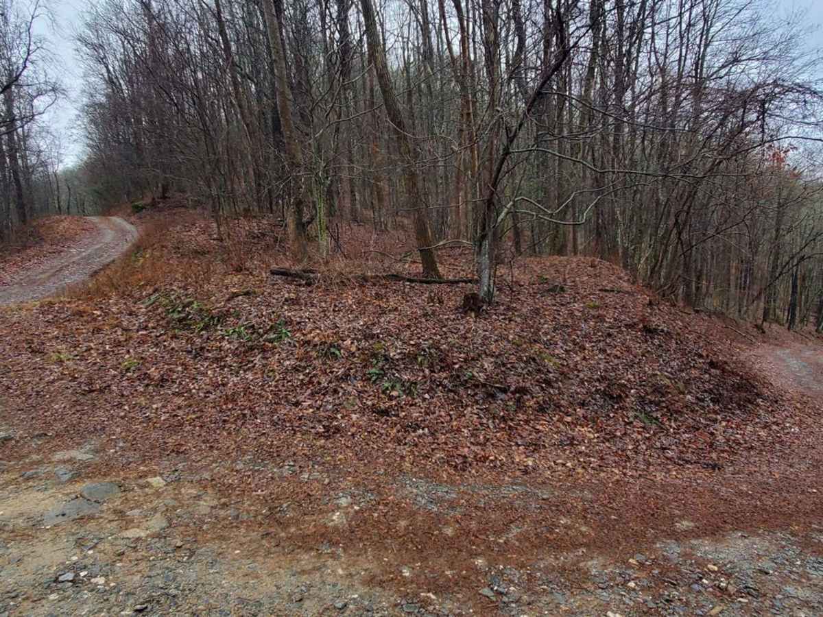 Stanley Gap - FSR 338 trail photo