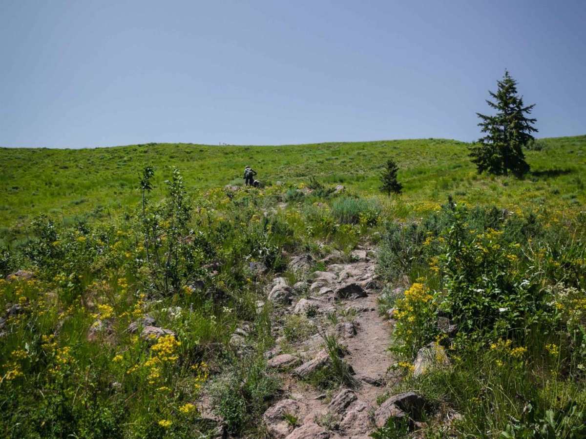 Cow Creek trail photo