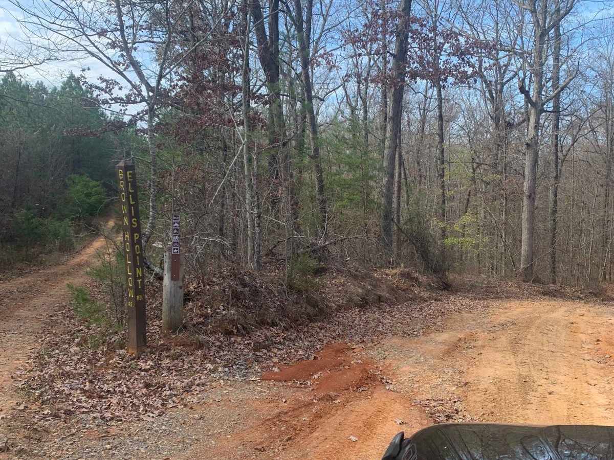 Ellis Pt/Bluff View Road trail photo