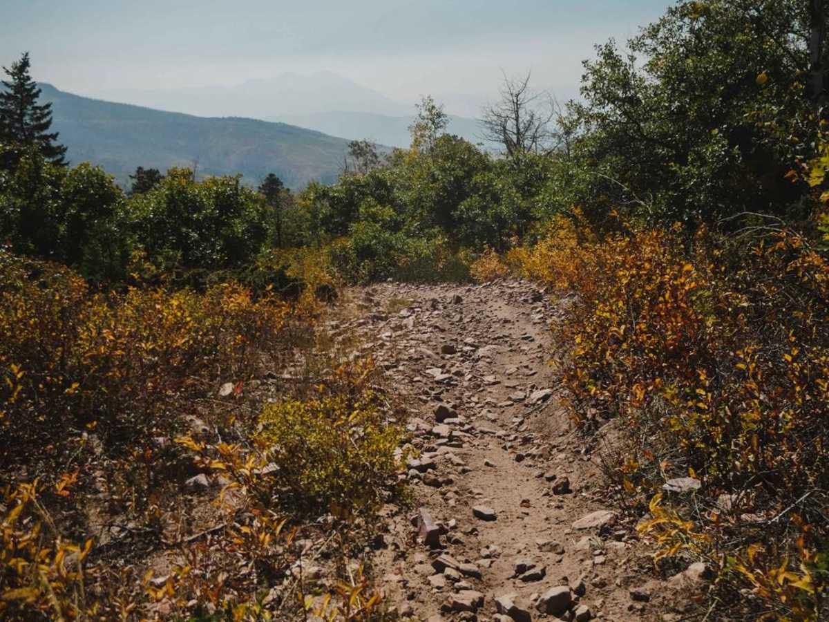 Lone Pine Trail photo 6