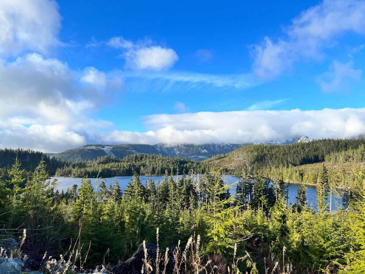 Rowbotham Lake trail photo