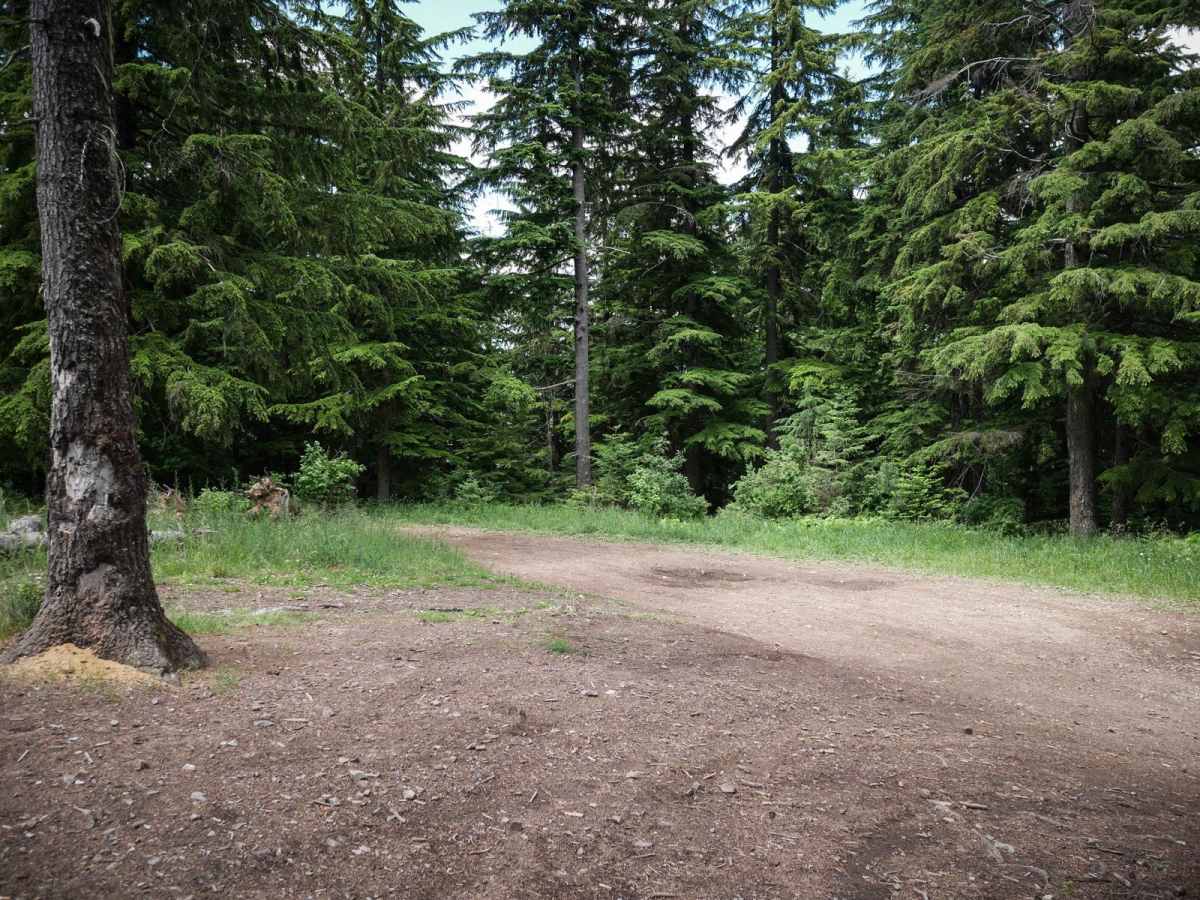 South Canfield OHV photo 5