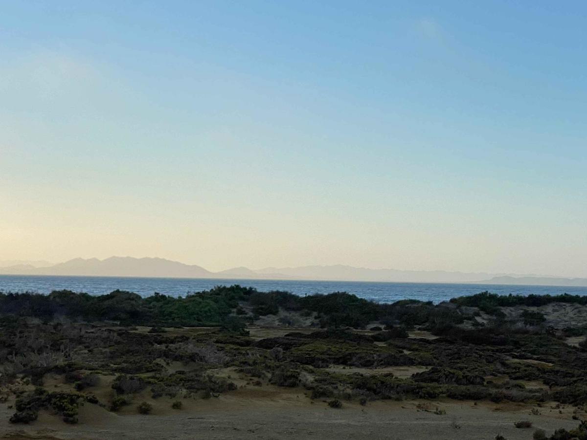 Around Bahia de Tortugas to El Rincon photo 6