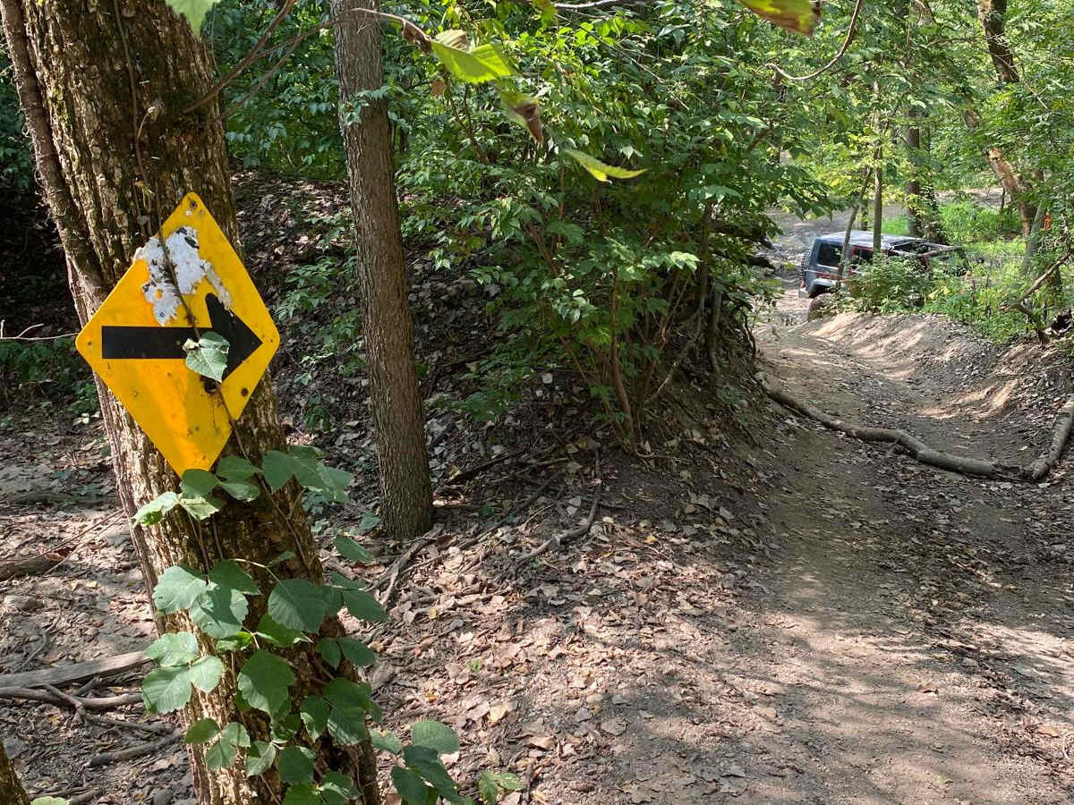 Yellow Trail photo 4