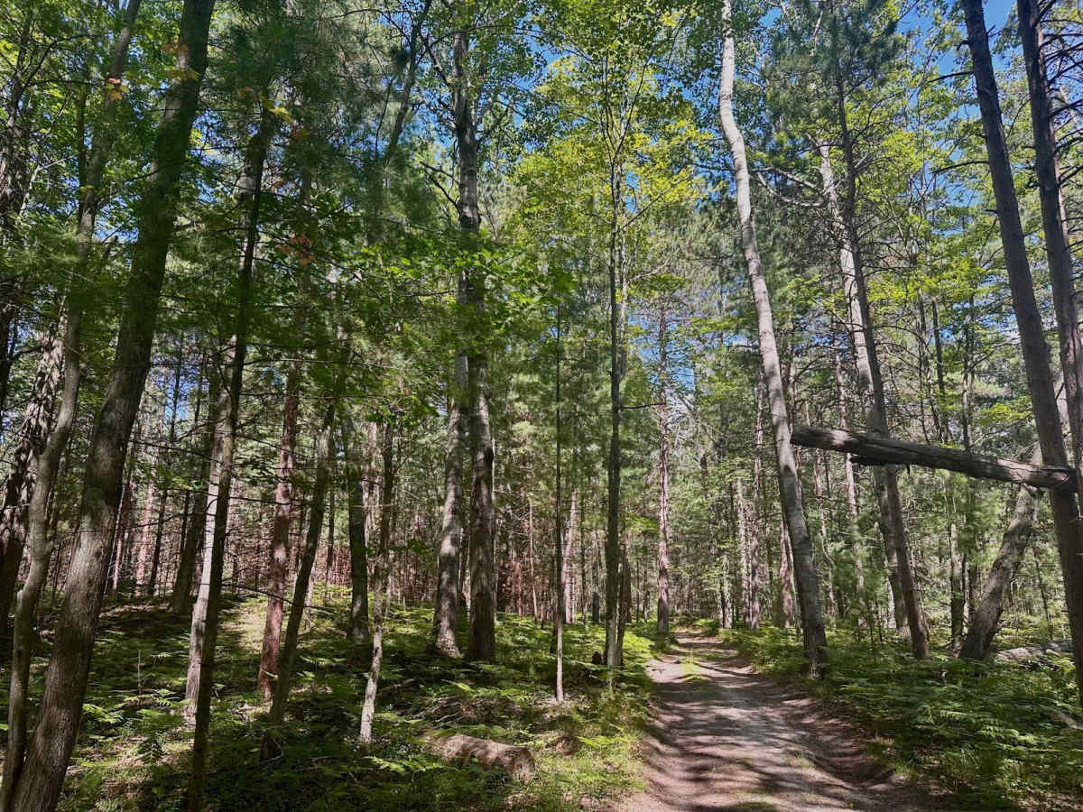 Deer Lake Road photo 6