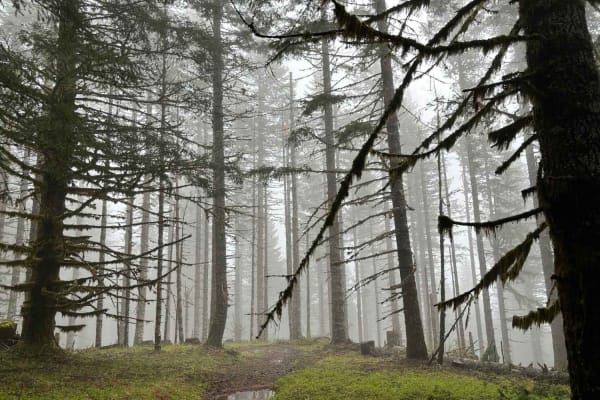 Bell Mountain to Rye Mountain