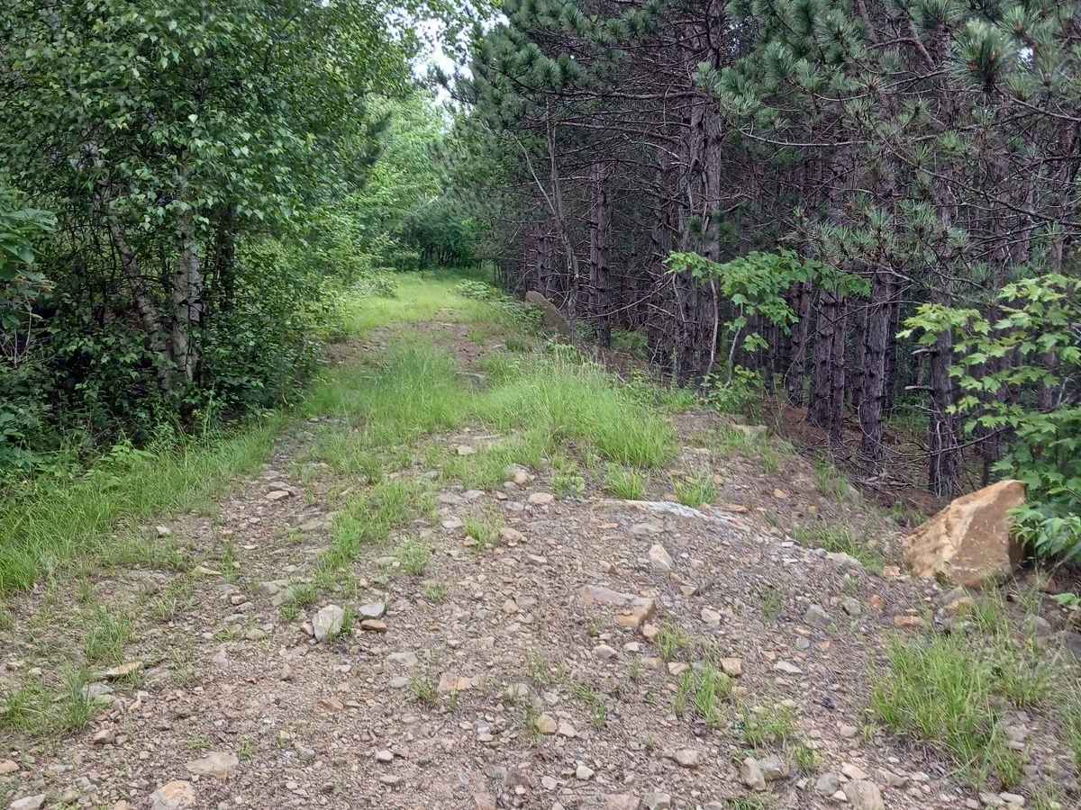 Trail 11G - Rock Run Recreation Area photo 2