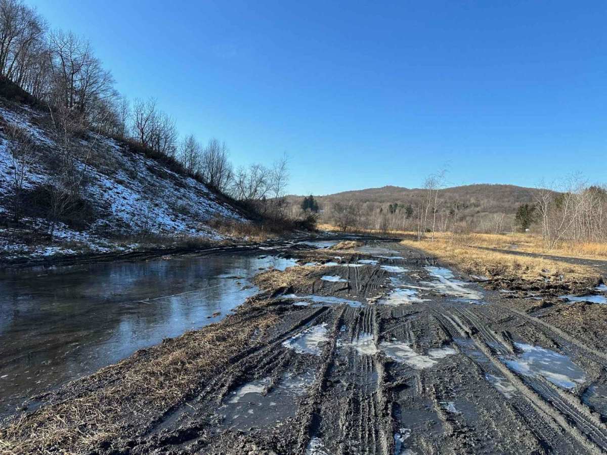 Locust Gap 60 photo 2