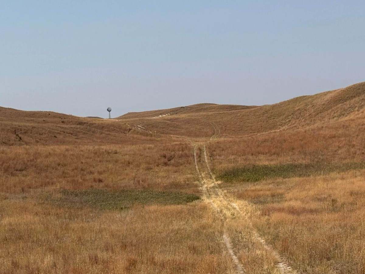 Double S - 263 trail photo