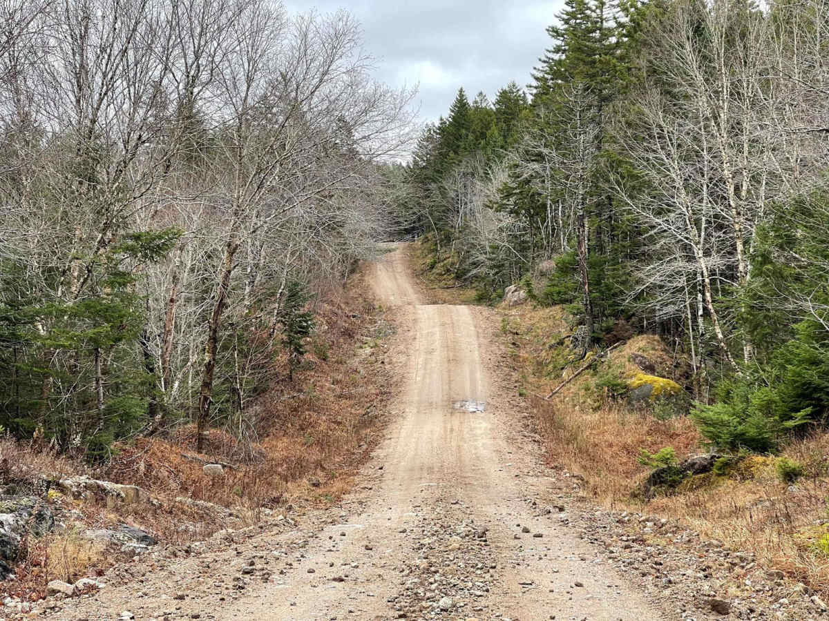 Hiking Trail Road trail photo